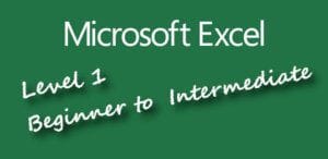Microsoft Excel Course Level 1 Basics to Beginner Excel Course